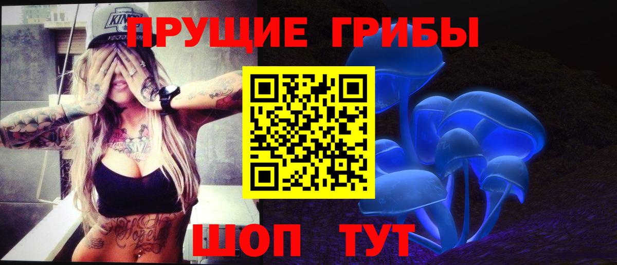 Галлюциногенные грибы Cubensis  Вход с VPN  Тула 